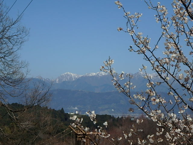 http://odawara-jigyo-kyokai.jp/wanpaku/b/image/20160317%E6%A1%9C%EF%BD%A5%E5%9C%9F%E7%AD%86%20%283%29.JPG