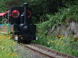 20150819黄花列車 (2).JPG