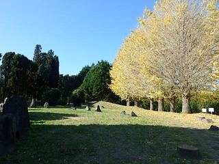 20151209晩秋辻村 (3).JPG