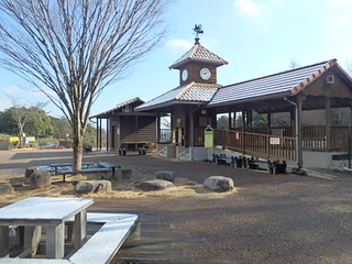 20160216雪･梅 (1).JPG