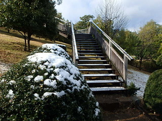 20160216雪･梅 (8).JPG