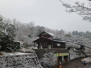 20160225春雪 (1).JPG