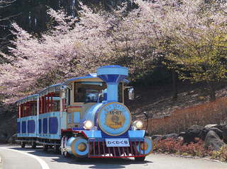DSCN5556-002.JPG