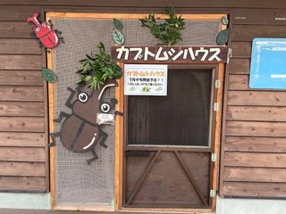 image1.jpeg