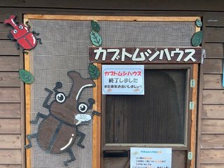 image1.jpeg
